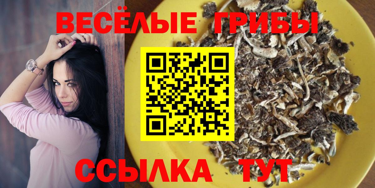 Галлюциногенные грибы Cubensis Можга
