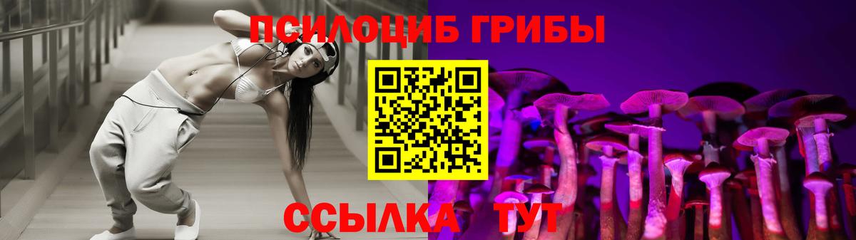 Псилоцибиновые грибы Psilocybe  Псилоцибиновые грибы GOLDEN TEACHER  Можга  Вход с VPN 